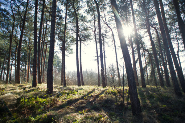 door Jorinde Reijnierse www.jorindephotography.nl