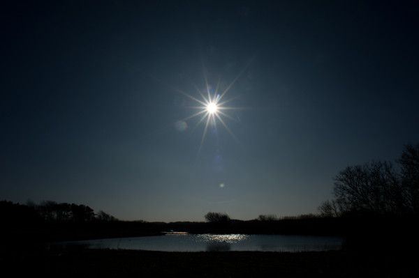 door Jorinde Reijnierse www.jorindephotography.nl