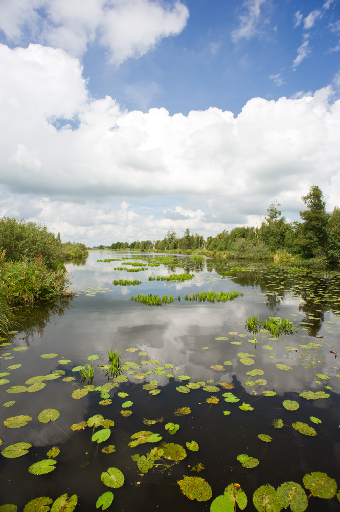 De Deelen, Friesland Foto door Jorinde Reijnierse (www.jorindephotography.nl)