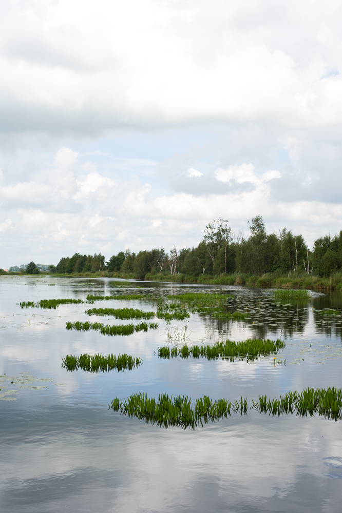 De Deelen, Friesland Foto door Jorinde Reijnierse (www.jorindephotography.nl)