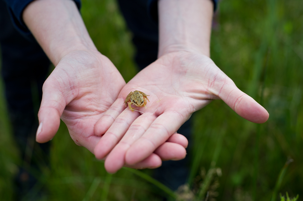 De Deelen, Friesland Foto door Jorinde Reijnierse (www.jorindephotography.nl)