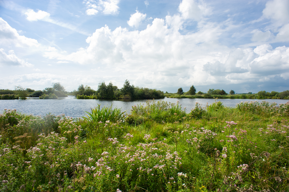 De Deelen, Friesland Foto door Jorinde Reijnierse (www.jorindephotography.nl)