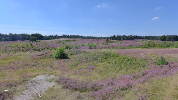 P1030255